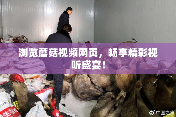浏览蘑菇视频网页，畅享精彩视听盛宴！
