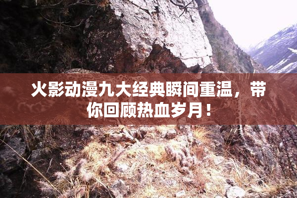火影动漫九大经典瞬间重温，带你回顾热血岁月！