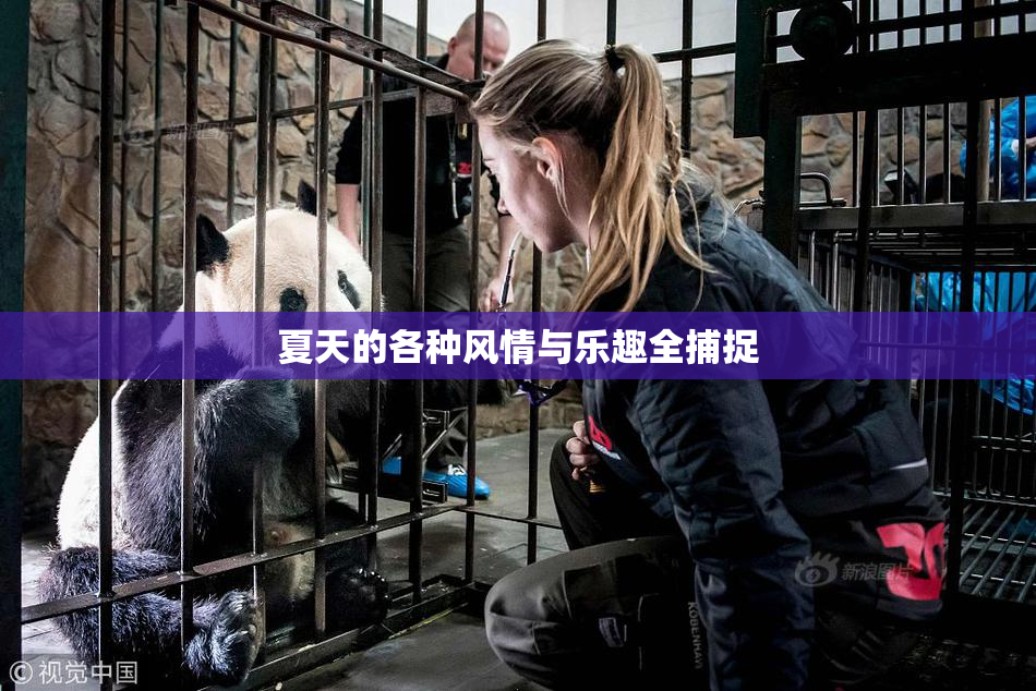 夏天的各种风情与乐趣全捕捉