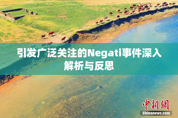 引发广泛关注的Negati事件深入解析与反思