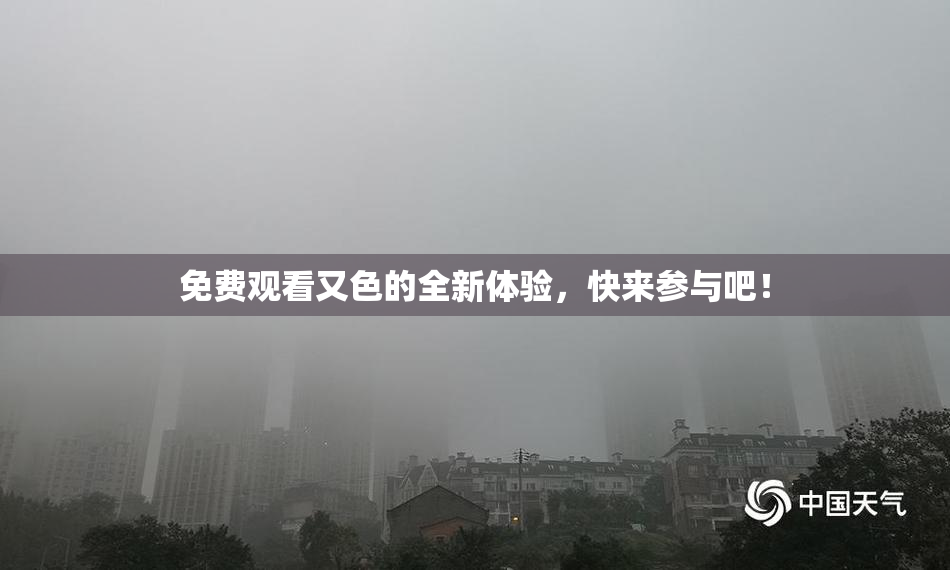 免费观看又色的全新体验，快来参与吧！