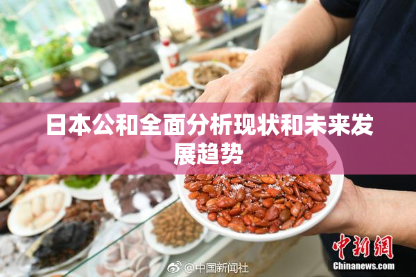 日本公和全面分析现状和未来发展趋势
