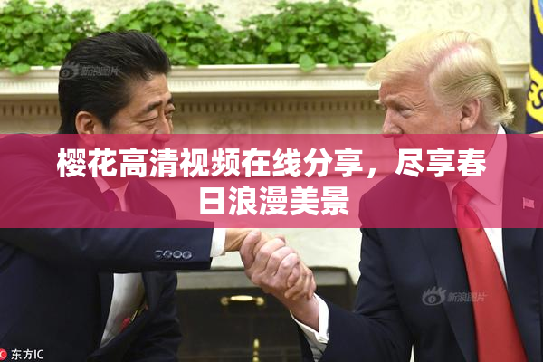 樱花高清视频在线分享，尽享春日浪漫美景