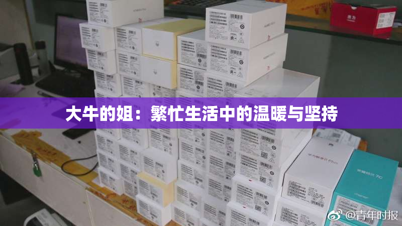 大牛的姐：繁忙生活中的温暖与坚持