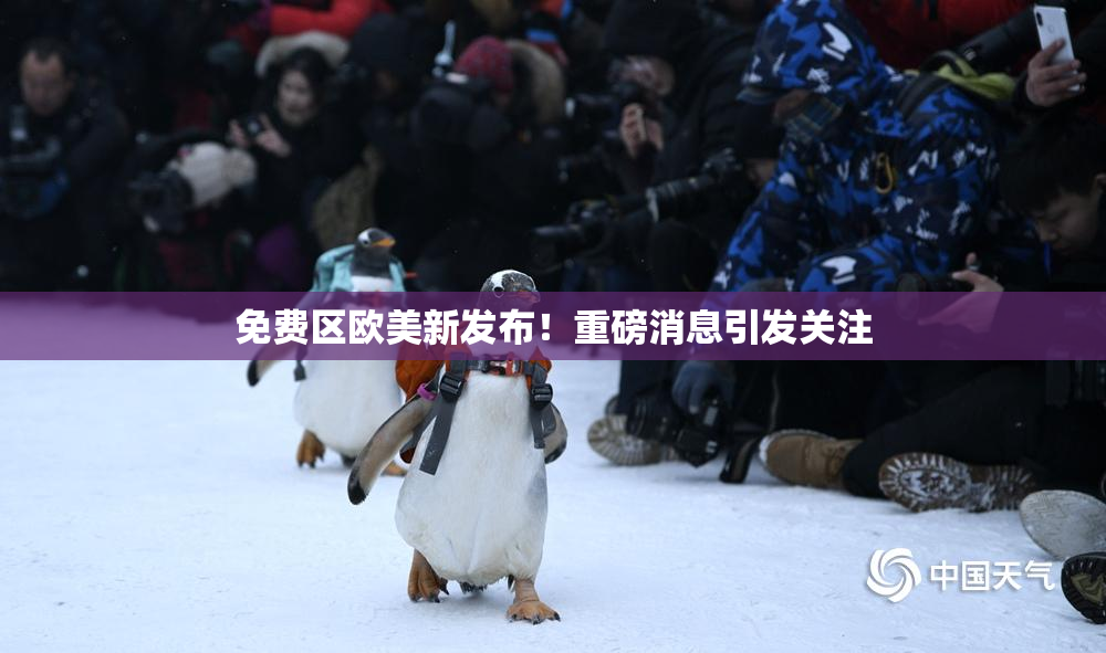 免费区欧美新发布！重磅消息引发关注