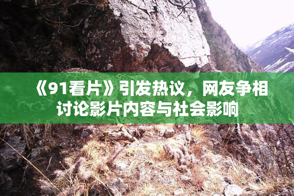 《91看片》引发热议，网友争相讨论影片内容与社会影响