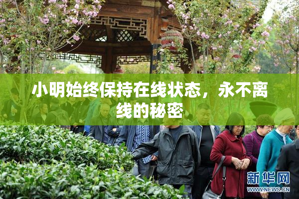 小明始终保持在线状态，永不离线的秘密