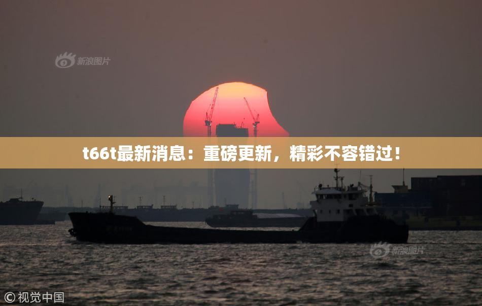 t66t最新消息：重磅更新，精彩不容错过！