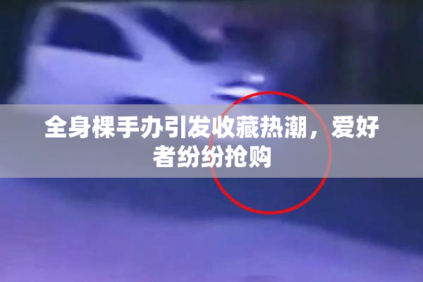 全身棵手办引发收藏热潮，爱好者纷纷抢购