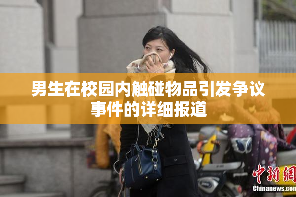 男生在校园内触碰物品引发争议事件的详细报道