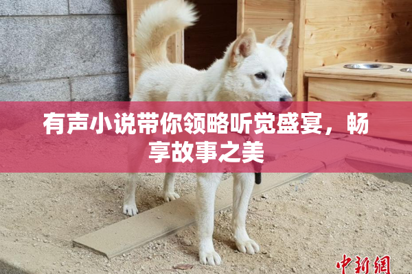 有声小说带你领略听觉盛宴，畅享故事之美