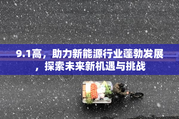 9.1高，助力新能源行业蓬勃发展，探索未来新机遇与挑战