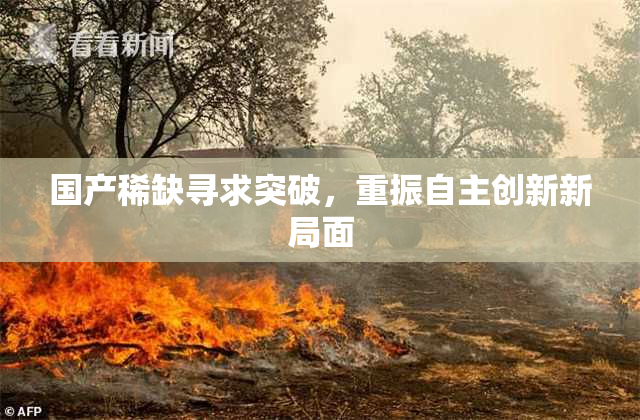 国产稀缺寻求突破，重振自主创新新局面