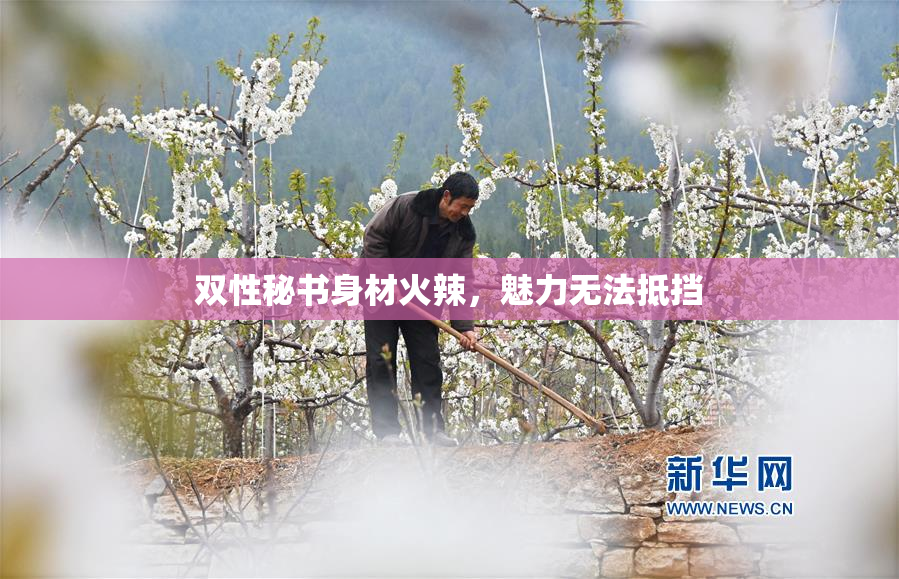双性秘书身材火辣，魅力无法抵挡