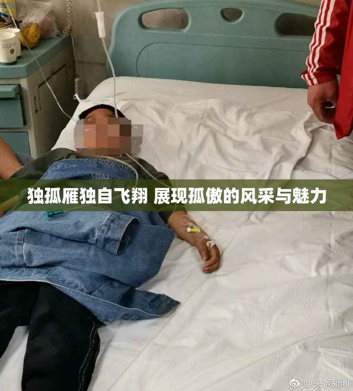 独孤雁独自飞翔 展现孤傲的风采与魅力
