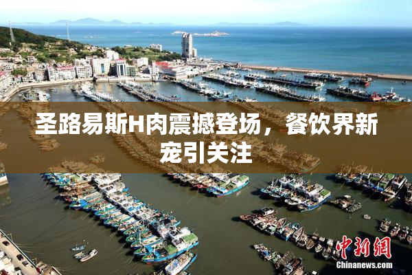 圣路易斯H肉震撼登场，餐饮界新宠引关注