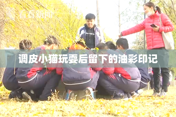 调皮小猫玩耍后留下的油彩印记