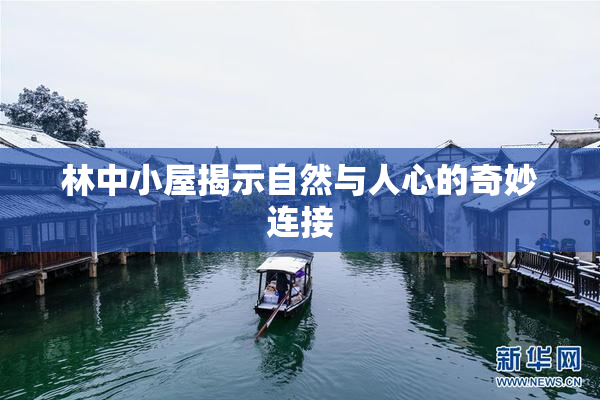 林中小屋揭示自然与人心的奇妙连接