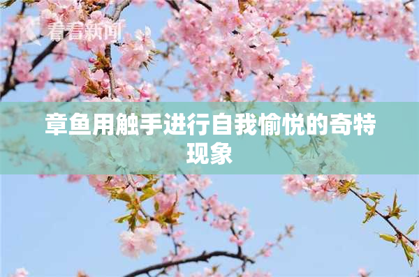 章鱼用触手进行自我愉悦的奇特现象