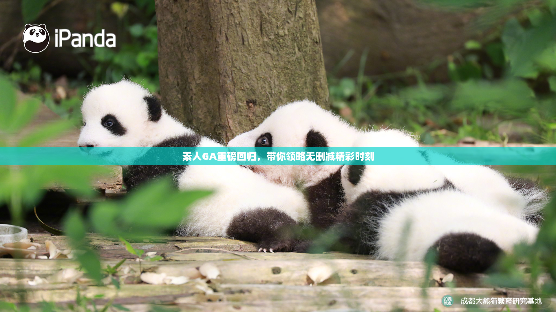 素人GA重磅回归，带你领略无删减精彩时刻