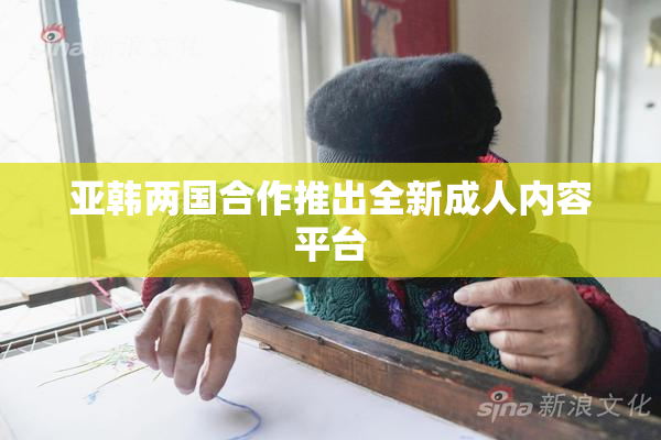 亚韩两国合作推出全新成人内容平台