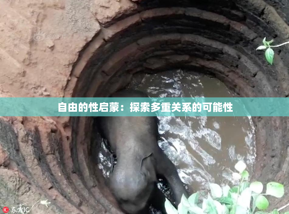 自由的性启蒙：探索多重关系的可能性