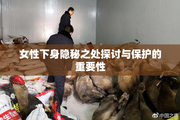 女性下身隐秘之处探讨与保护的重要性