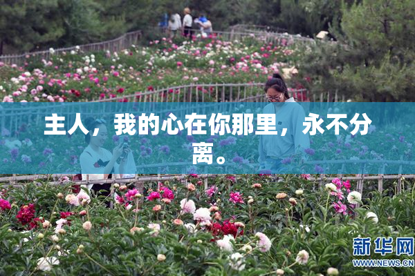 主人，我的心在你那里，永不分离。