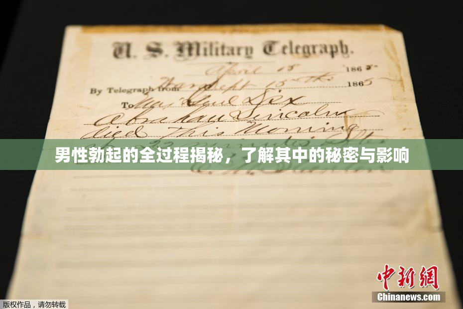 男性勃起的全过程揭秘，了解其中的秘密与影响