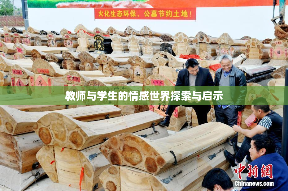教师与学生的情感世界探索与启示