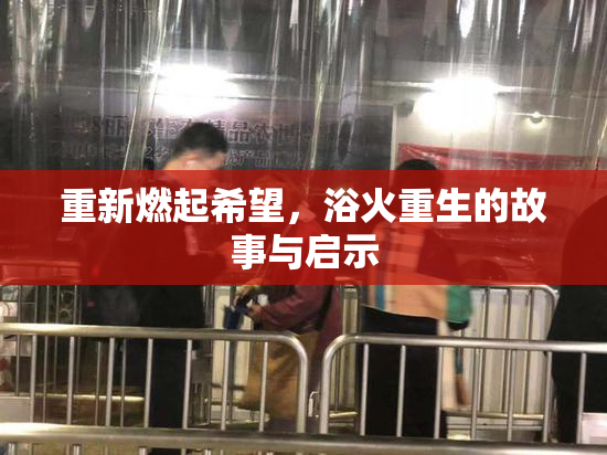 重新燃起希望，浴火重生的故事与启示