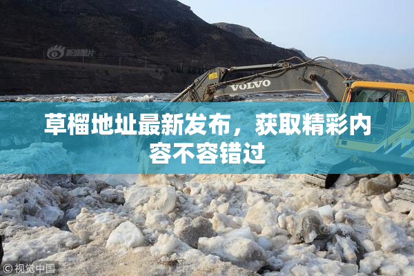 草榴地址最新发布，获取精彩内容不容错过
