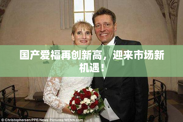 国产爱福再创新高，迎来市场新机遇！