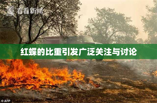 红蝶的比重引发广泛关注与讨论