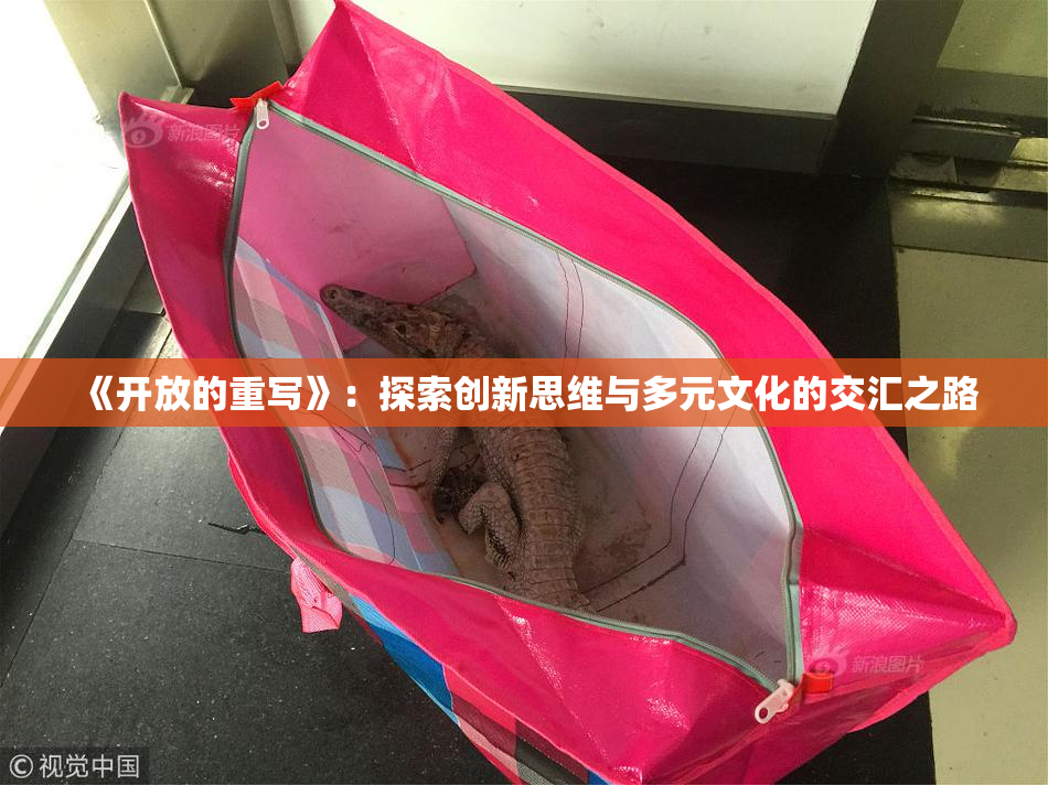 《开放的重写》：探索创新思维与多元文化的交汇之路