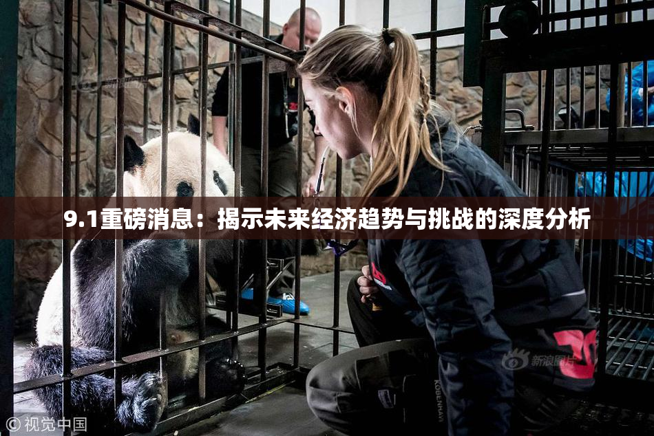 9.1重磅消息：揭示未来经济趋势与挑战的深度分析
