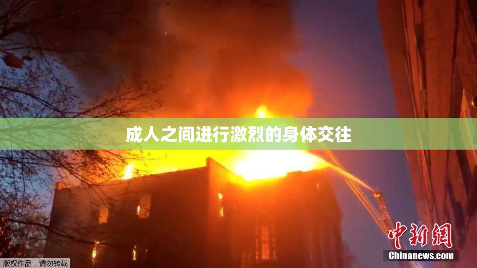 成人之间进行激烈的身体交往