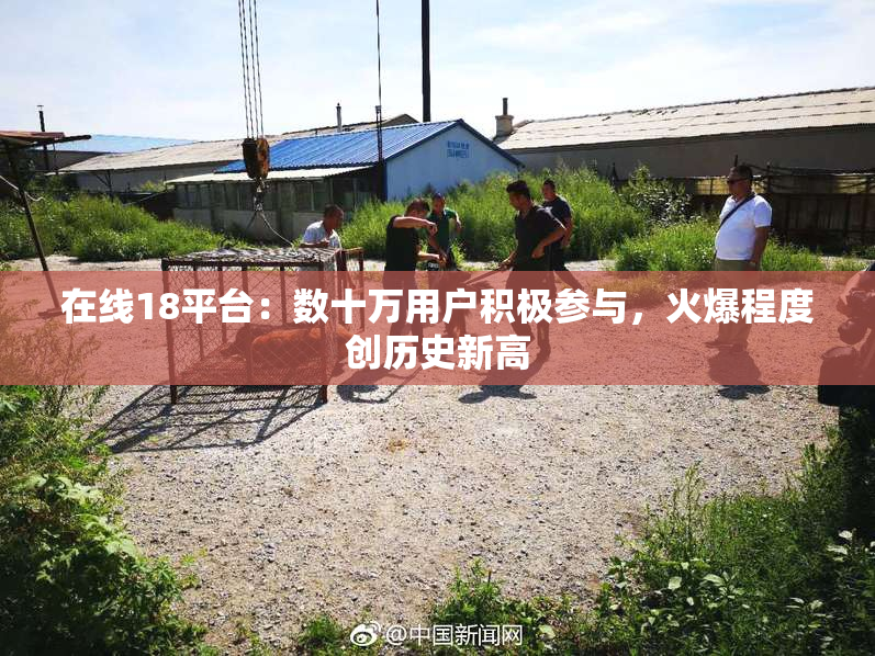 在线18平台：数十万用户积极参与，火爆程度创历史新高