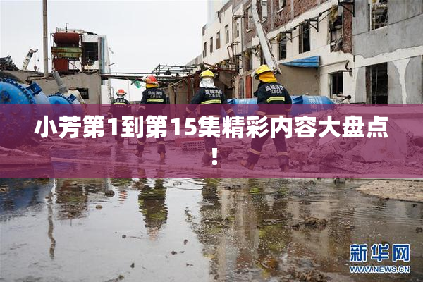 小芳第1到第15集精彩内容大盘点！