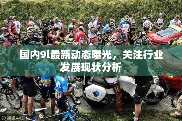 国内9l最新动态曝光，关注行业发展现状分析