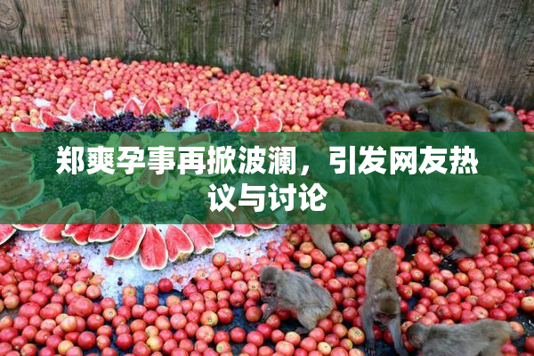 郑爽孕事再掀波澜，引发网友热议与讨论