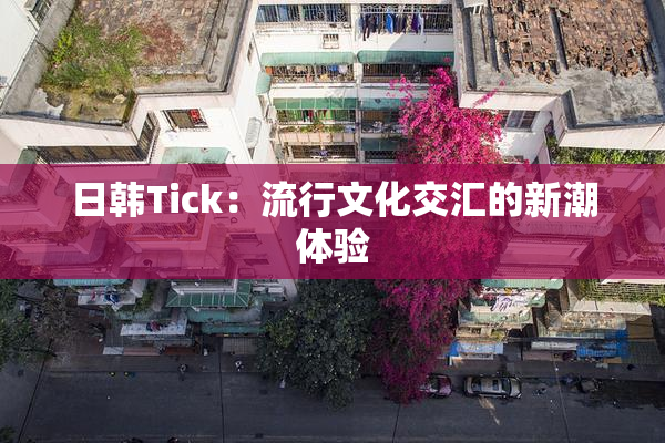 日韩Tick：流行文化交汇的新潮体验