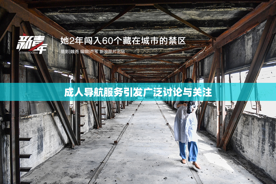 成人导航服务引发广泛讨论与关注