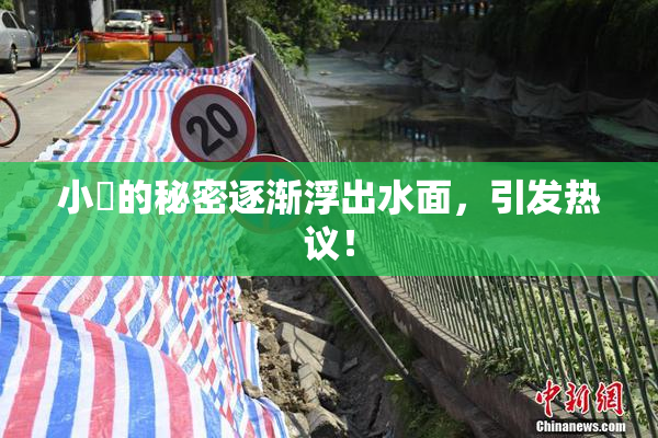 小泬的秘密逐渐浮出水面，引发热议！