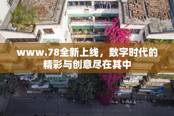 www.78全新上线，数字时代的精彩与创意尽在其中
