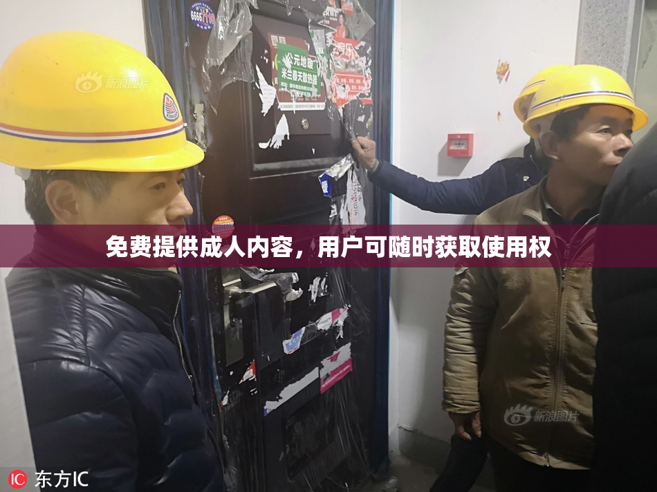 免费提供成人内容，用户可随时获取使用权