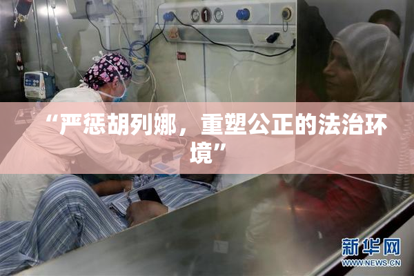 “严惩胡列娜，重塑公正的法治环境”