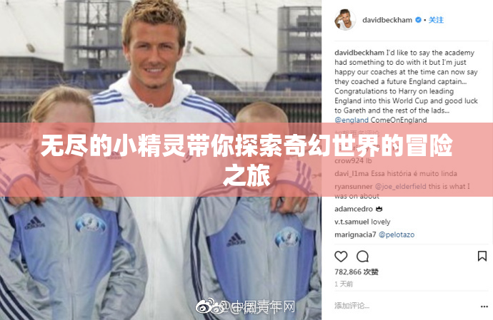 无尽的小精灵带你探索奇幻世界的冒险之旅