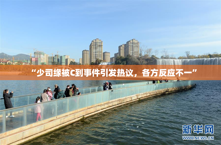 “少司缘被C到事件引发热议，各方反应不一”