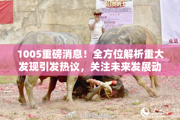 1005重磅消息！全方位解析重大发现引发热议，关注未来发展动态。